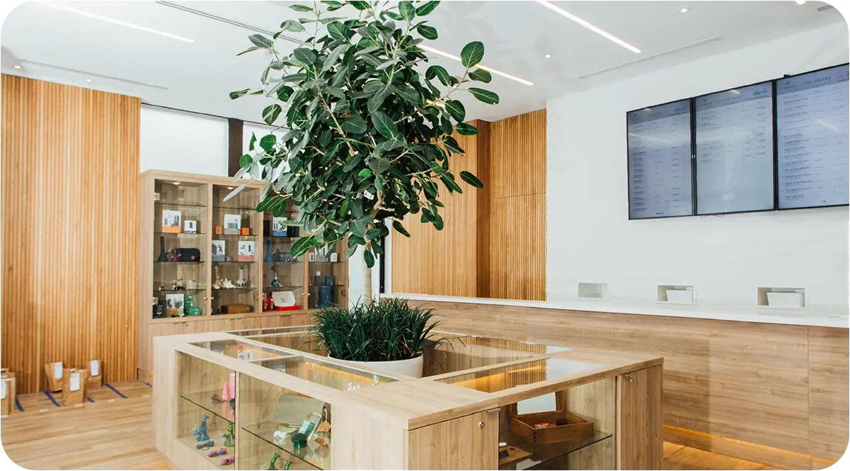 Modern cannabis dispensary interior showing proper customer flow, organized product displays, and digital ordering stations