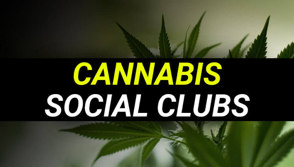 Cannabis Social Club Etiquette: Navigating Group Sessions with Grace in 2026