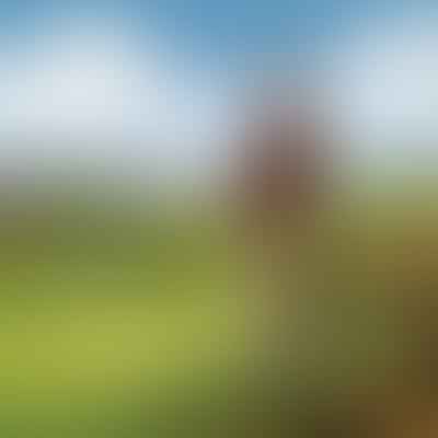 Sport and Leisure Etiquette: A Deep Dive into the Subtle Art of Golf