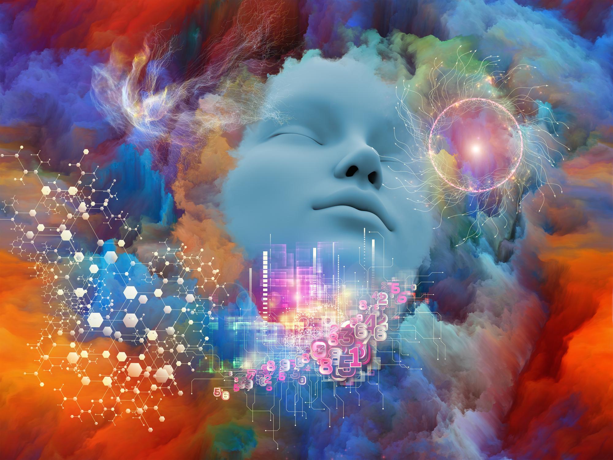 brain connectivity psychedelics