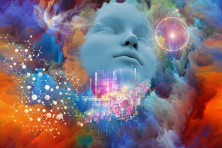 brain connectivity psychedelics