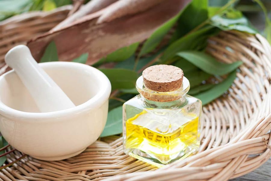 eucalyptus essential oil