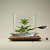Can Cannabis Replace Wellbutrin